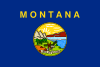 Flag Montana